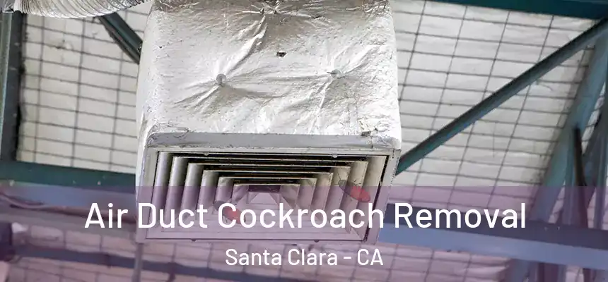 Air Duct Cockroach Removal Santa Clara - CA