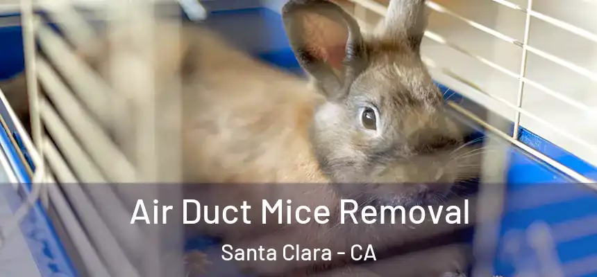 Air Duct Mice Removal Santa Clara - CA
