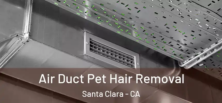 Air Duct Pet Hair Removal Santa Clara - CA