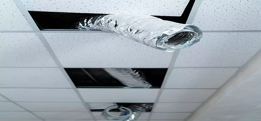 Our Air Duct Pet Hair Removal Services in Santa Clara, CA