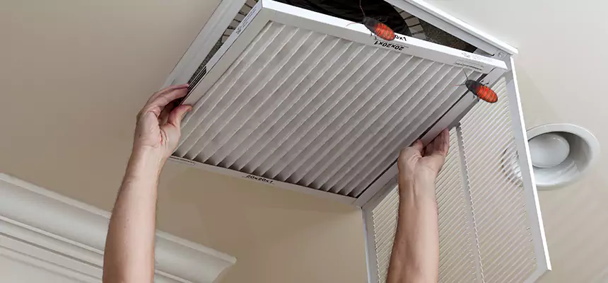 Our Insect Removal from Air Ducts Services in Santa Clara, CA