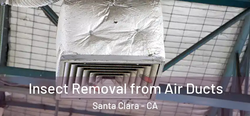 Insect Removal from Air Ducts Santa Clara - CA