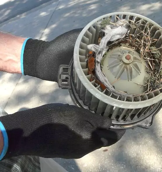 About Air Duct Rat Removal in Santa Clara, CA