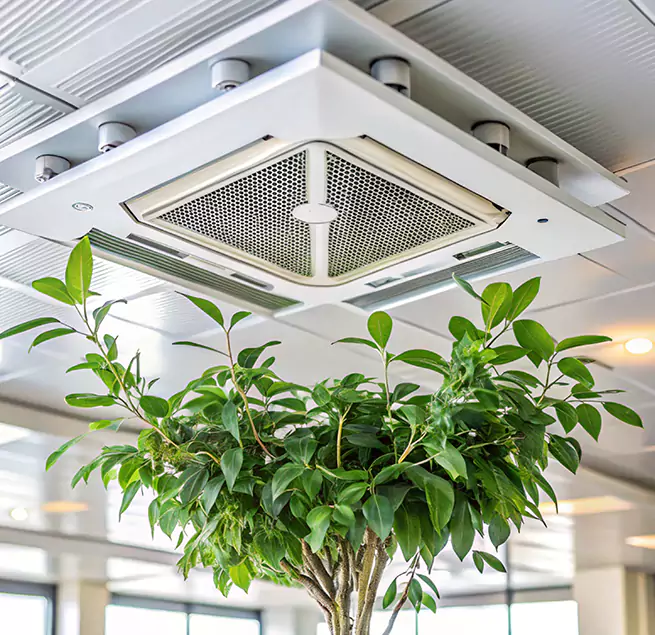 Why Homeowners & Businesses Trust Us in Santa Clara, CA?