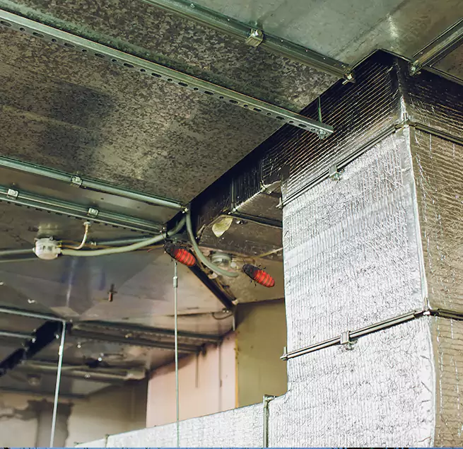 Why Homeowners & Businesses Trust Us Santa Clara, CA?